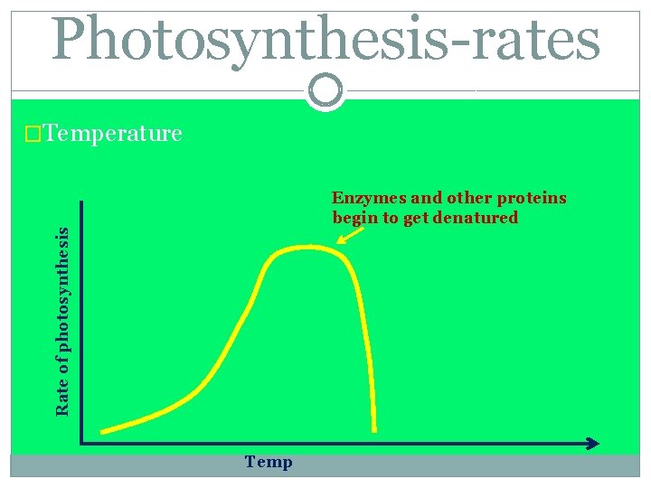 Photosynthesis-rates �Temperature Rate of photosynthesis Enzymes and other proteins begin to get denatured Temp