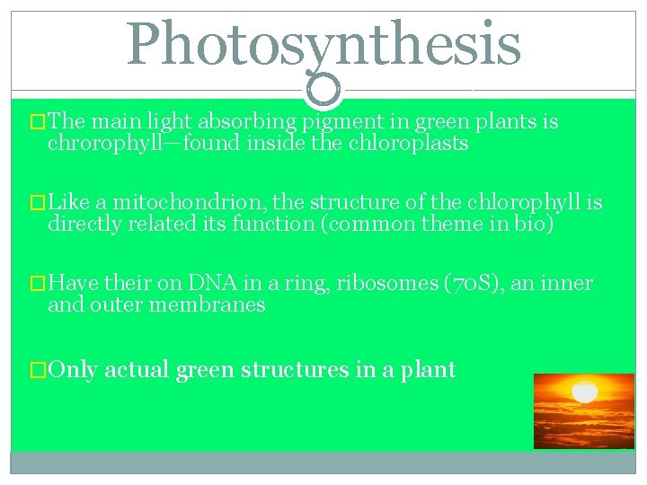 Photosynthesis �The main light absorbing pigment in green plants is chrorophyll—found inside the chloroplasts