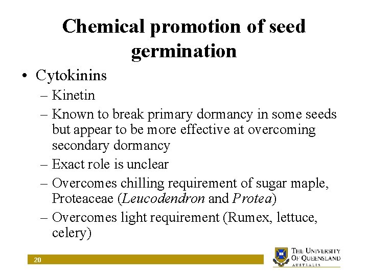 Chemical promotion of seed germination • Cytokinins – Kinetin – Known to break primary