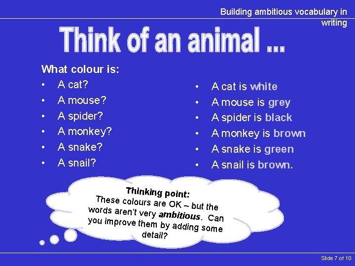Building ambitious vocabulary in writing What colour is: • A cat? • A mouse?