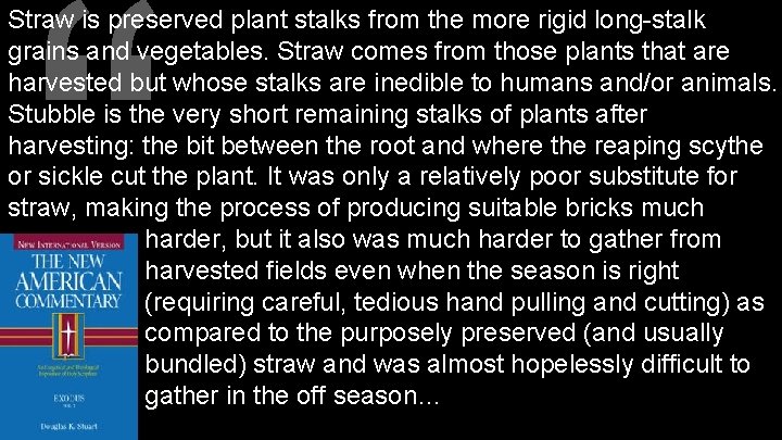 “ Straw is preserved plant stalks from the more rigid long-stalk grains and vegetables.