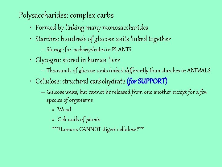 Polysaccharides: complex carbs • Formed by linking many monosaccharides • Starches: hundreds of glucose