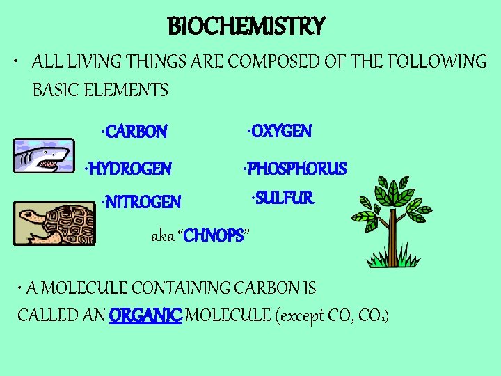 BIOCHEMISTRY • ALL LIVING THINGS ARE COMPOSED OF THE FOLLOWING BASIC ELEMENTS • CARBON