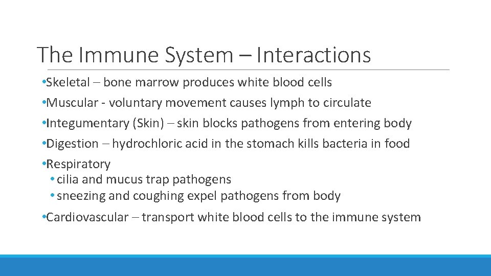 The Immune System – Interactions • Skeletal – bone marrow produces white blood cells The Immune System – Interactions • Skeletal – bone marrow produces white blood cells