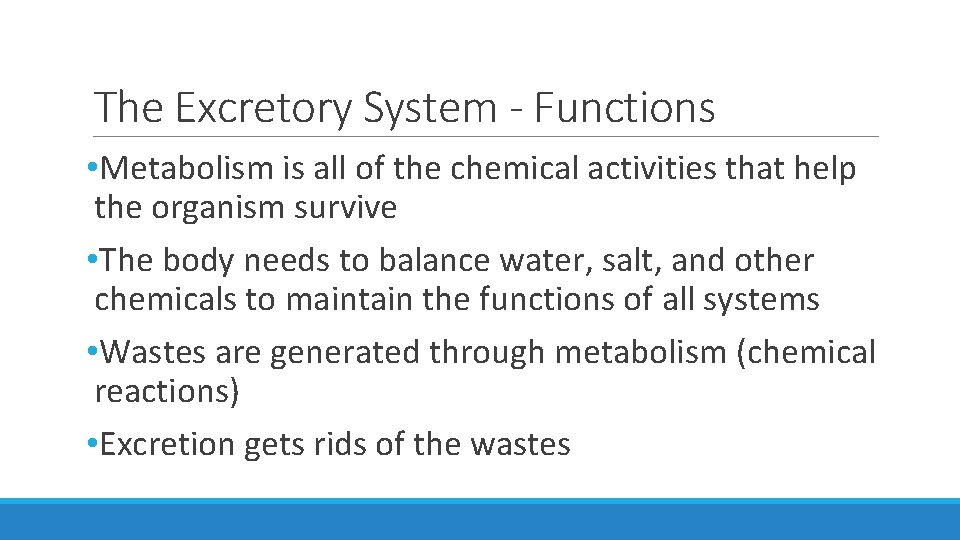 The Excretory System - Functions • Metabolism is all of the chemical activities that The Excretory System - Functions • Metabolism is all of the chemical activities that