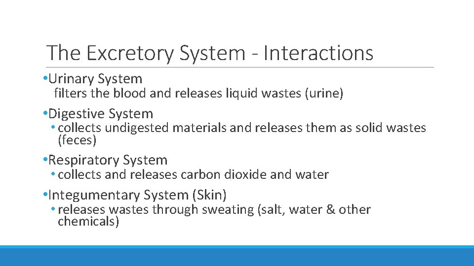 The Excretory System - Interactions • Urinary System filters the blood and releases liquid The Excretory System - Interactions • Urinary System filters the blood and releases liquid
