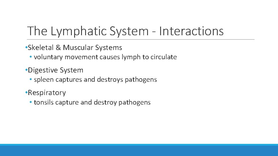 The Lymphatic System - Interactions • Skeletal & Muscular Systems • voluntary movement causes The Lymphatic System - Interactions • Skeletal & Muscular Systems • voluntary movement causes