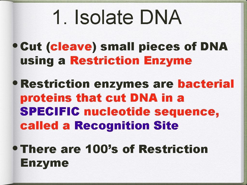 1. Isolate DNA • Cut (cleave) small pieces of DNA using a Restriction Enzyme