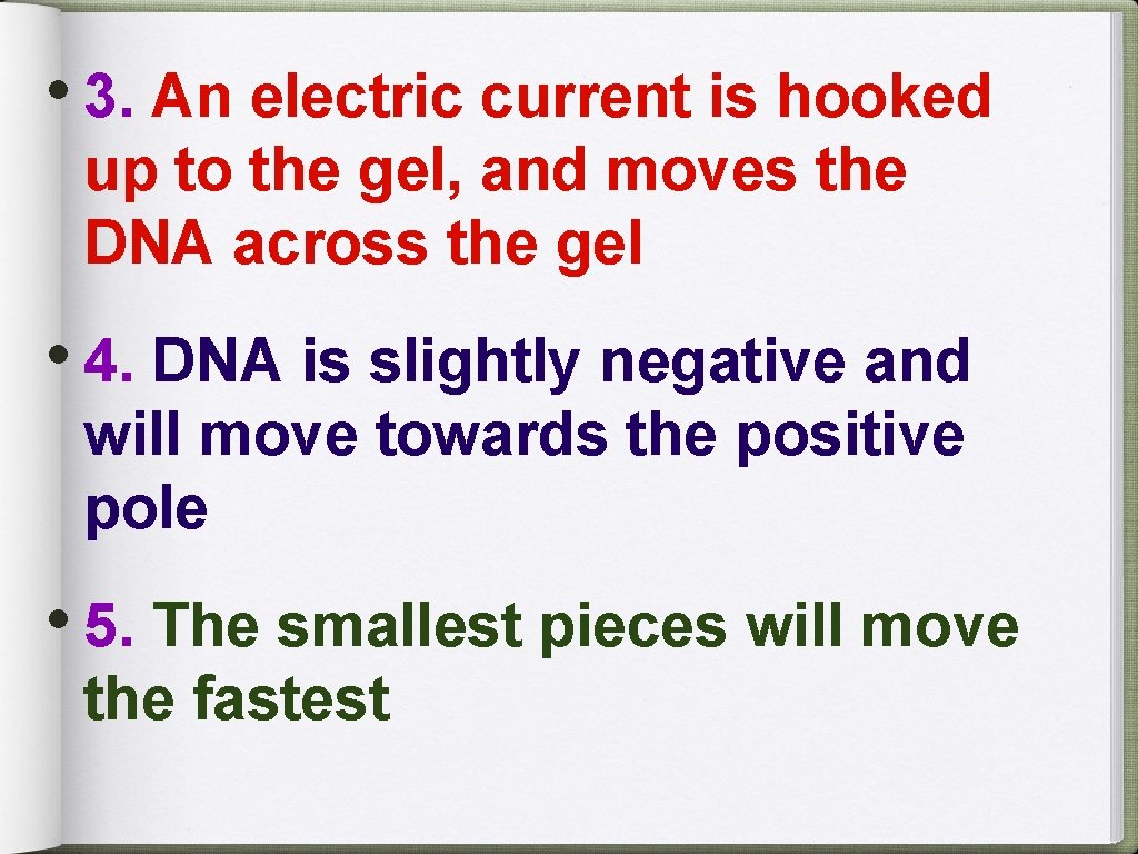  • 3. An electric current is hooked up to the gel, and moves