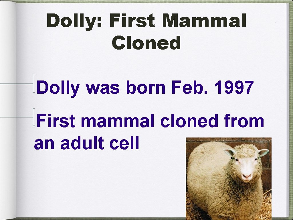 Dolly: First Mammal Cloned Dolly was born Feb. 1997 First mammal cloned from an