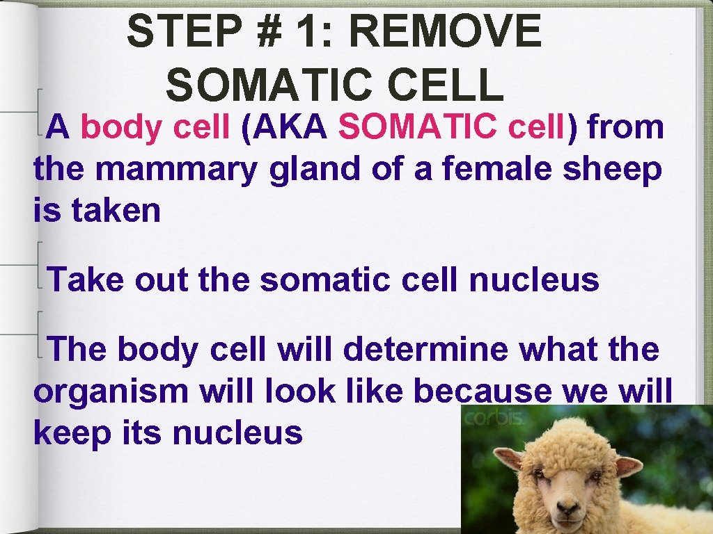 STEP # 1: REMOVE SOMATIC CELL A body cell (AKA SOMATIC cell) from the