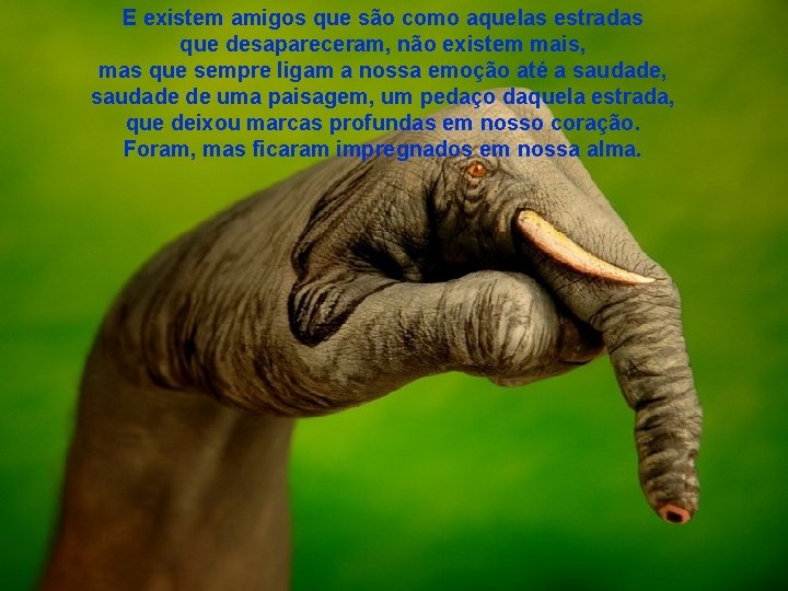 E existem amigos que são como aquelas estradas que desapareceram, não existem mais, mas E existem amigos que são como aquelas estradas que desapareceram, não existem mais, mas