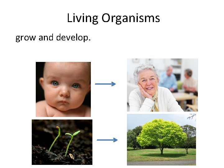 Living Organisms grow and develop. 