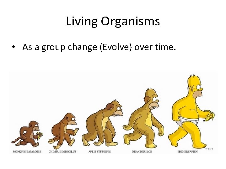 Living Organisms • As a group change (Evolve) over time. 