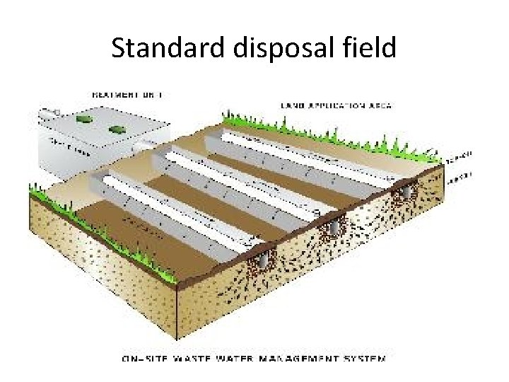 Standard disposal field 