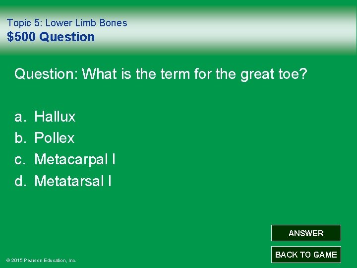 Topic 5: Lower Limb Bones $500 Question: What is the term for the great
