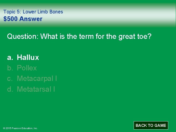 Topic 5: Lower Limb Bones $500 Answer Question: What is the term for the