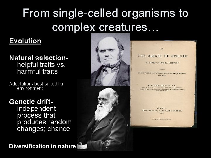 From single-celled organisms to complex creatures… Evolution Natural selectionhelpful traits vs. harmful traits Adaptation-