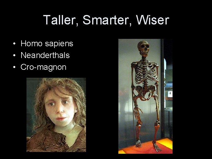 Taller, Smarter, Wiser • Homo sapiens • Neanderthals • Cro-magnon 