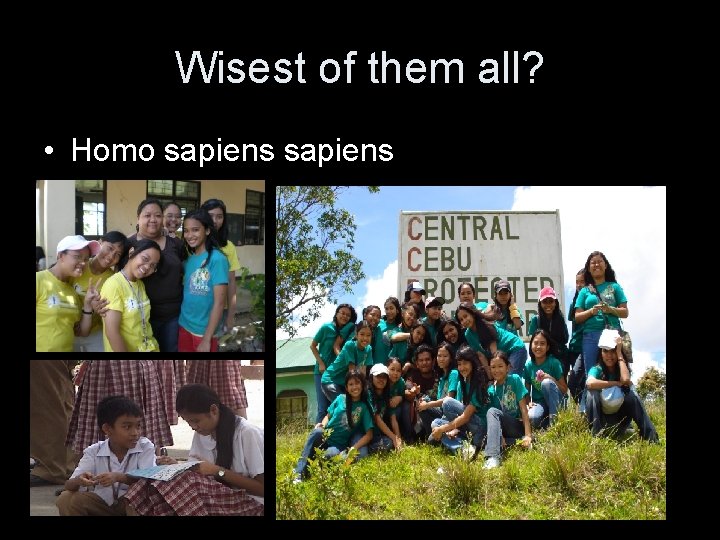 Wisest of them all? • Homo sapiens 