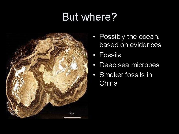 But where? • Possibly the ocean, based on evidences • Fossils • Deep sea
