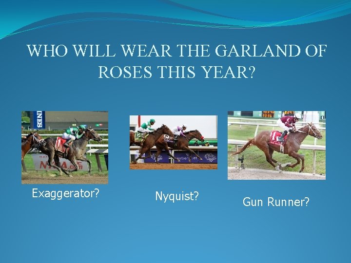 WHO WILL WEAR THE GARLAND OF ROSES THIS YEAR? Exaggerator? Nyquist? Gun Runner? 