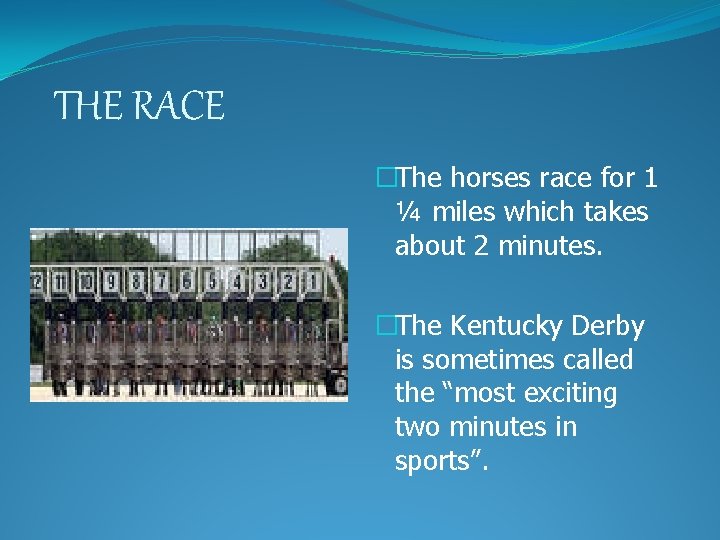THE RACE �The horses race for 1 ¼ miles which takes about 2 minutes.