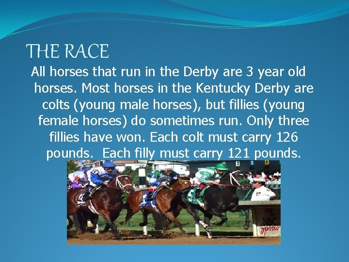 THE RACE All horses that run in the Derby are 3 year old horses.