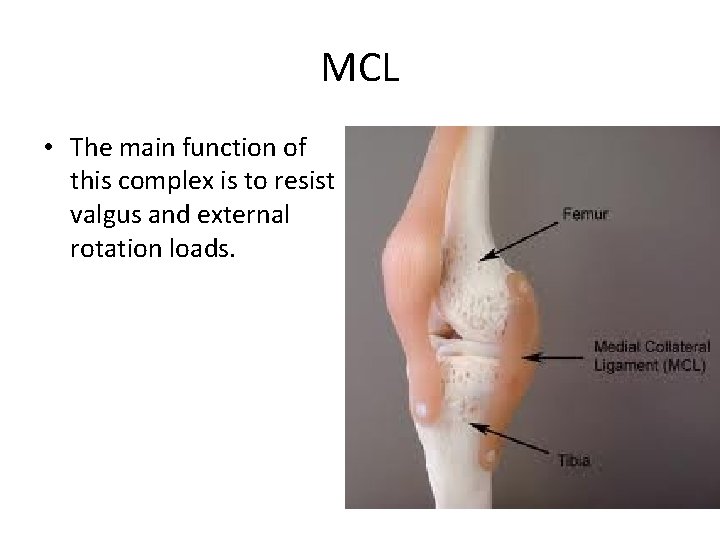 MCL • The main function of this complex is to resist valgus and external