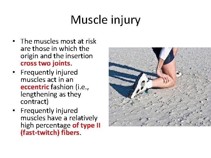 Muscle injury • The muscles most at risk are those in which the origin