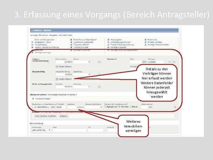 3. Erfassung eines Vorgangs (Bereich Antragsteller) Details zu den Verträgen können hier erfasst werden