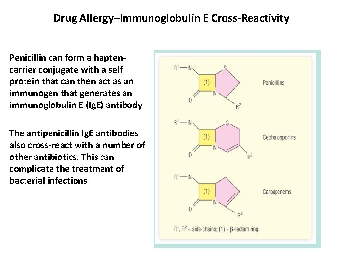 Drug Allergy–Immunoglobulin E Cross-Reactivity Penicillin can form a haptencarrier conjugate with a self protein