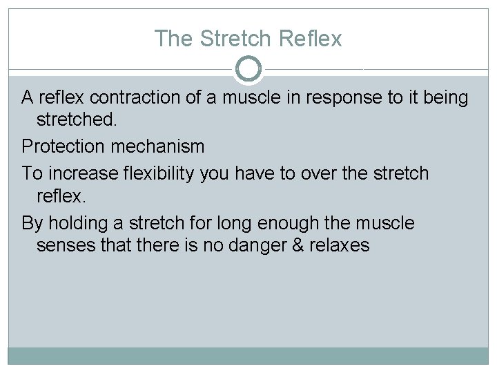 The Stretch Reflex A reflex contraction of a muscle in response to it being