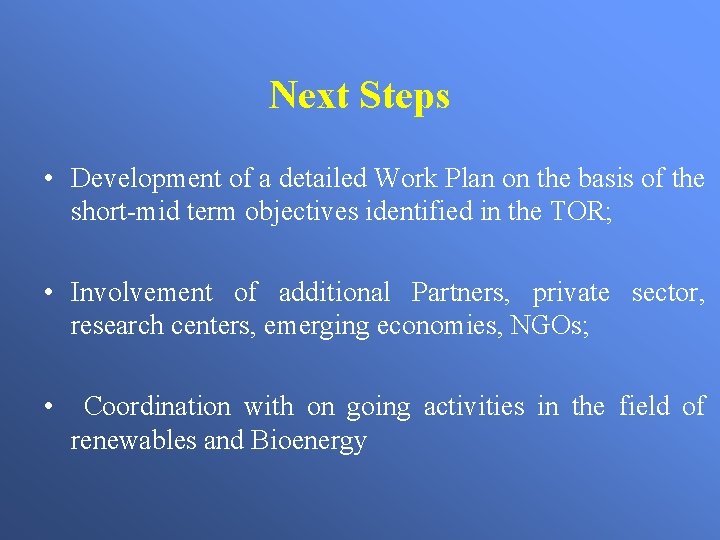 Next Steps • Development of a detailed Work Plan on the basis of the