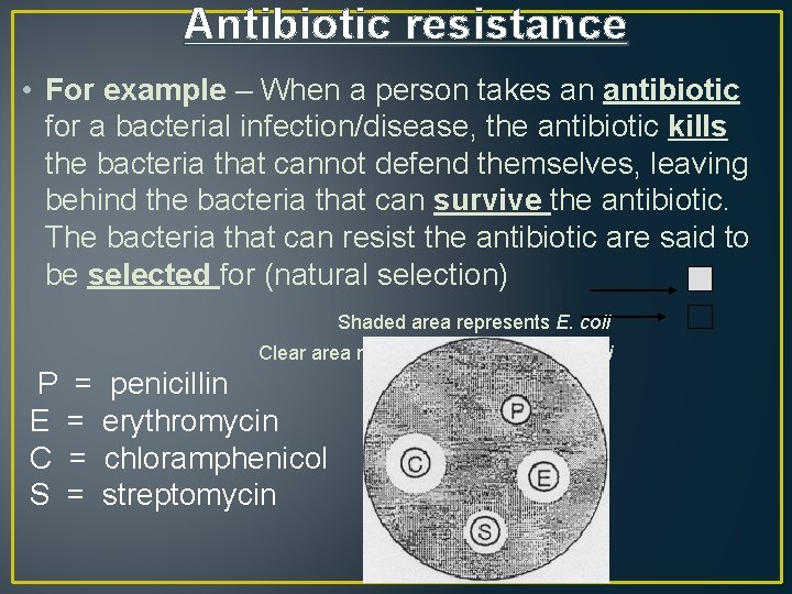 Antibiotic resistance • For example – When a person takes an antibiotic for a