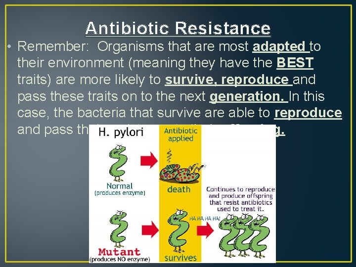 Antibiotic Resistance • Remember: Organisms that are most adapted to their environment (meaning they