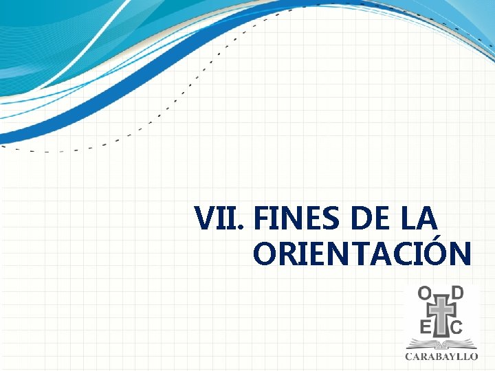 VII. FINES DE LA ORIENTACIÓN 