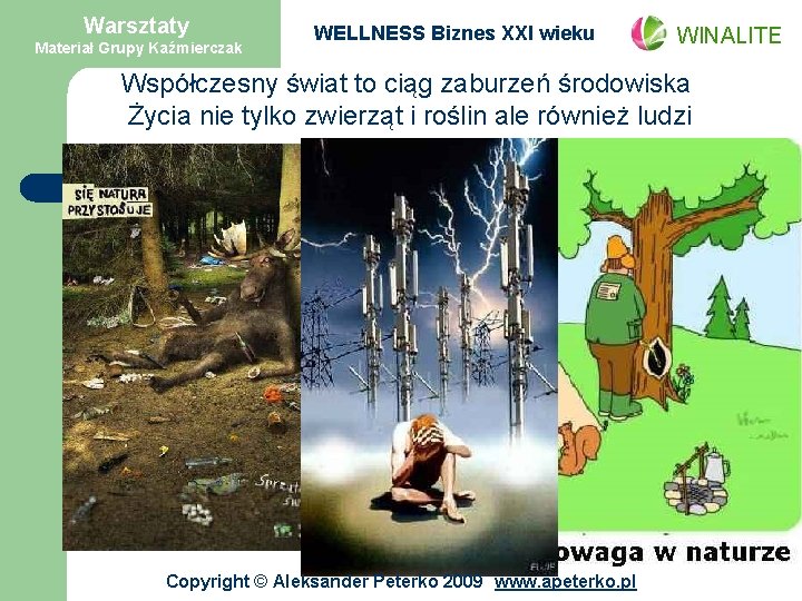 Warsztaty Materiał Grupy Kaźmierczak WELLNESS Biznes XXI wieku WINALITE Współczesny świat to ciąg zaburzeń