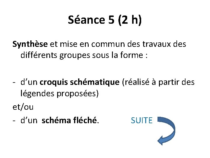 Séance 5 (2 h) Synthèse et mise en commun des travaux des différents groupes