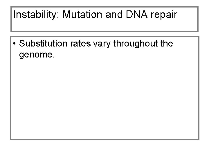 Instability: Mutation and DNA repair • Substitution rates vary throughout the genome. 