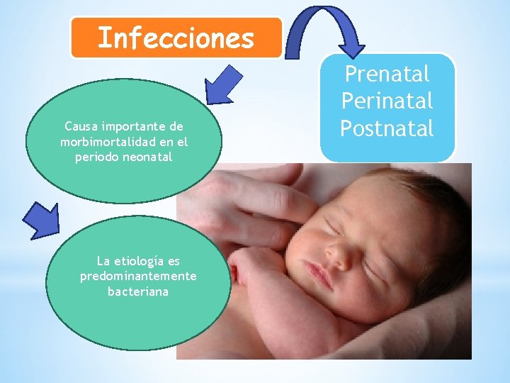 Infecciones Causa importante de morbimortalidad en el periodo neonatal La etiología es predominantemente bacteriana