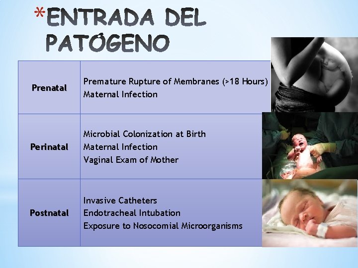 * Prenatal Premature Rupture of Membranes (>18 Hours) Maternal Infection Perinatal Microbial Colonization at