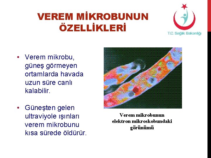 VEREM MİKROBUNUN ÖZELLİKLERİ • Verem mikrobu, güneş görmeyen ortamlarda havada uzun süre canlı kalabilir.