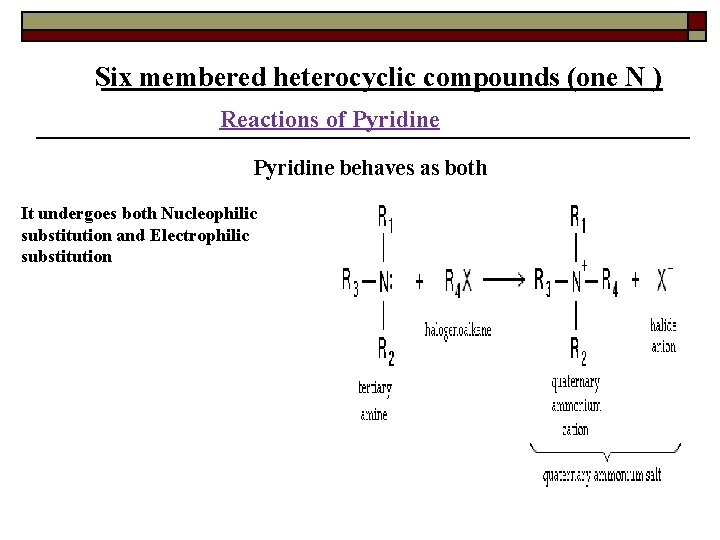 Six membered heterocyclic compounds (one N ) Reactions of Pyridine behaves as both It