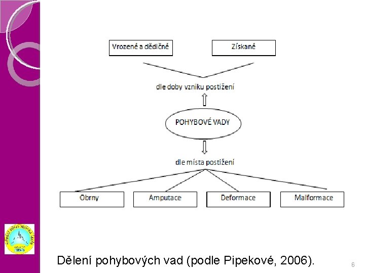 Dělení pohybových vad (podle Pipekové, 2006). 6 