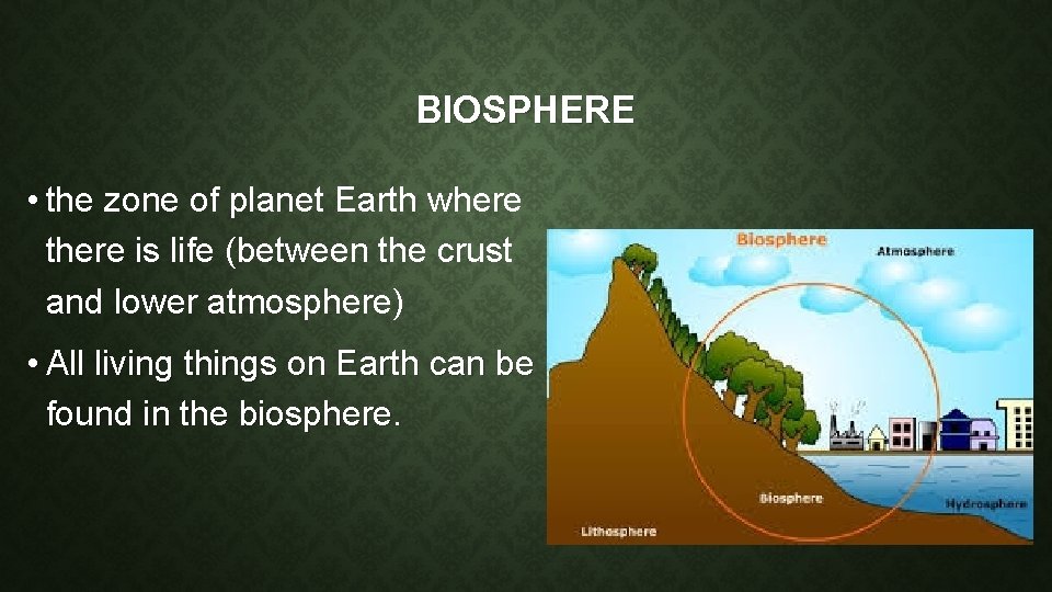 BIOSPHERE • the zone of planet Earth where there is life (between the crust