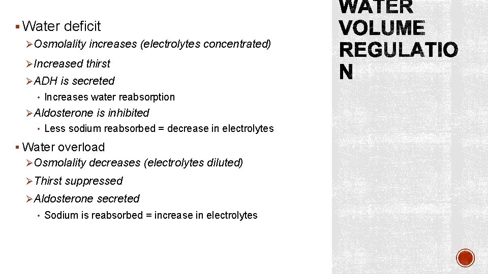 § Water deficit ØOsmolality increases (electrolytes concentrated) ØIncreased thirst ØADH is secreted • Increases