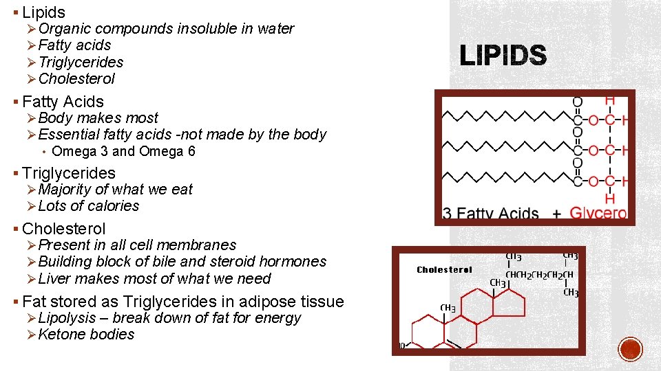 § Lipids ØOrganic compounds insoluble in water ØFatty acids ØTriglycerides ØCholesterol § Fatty Acids