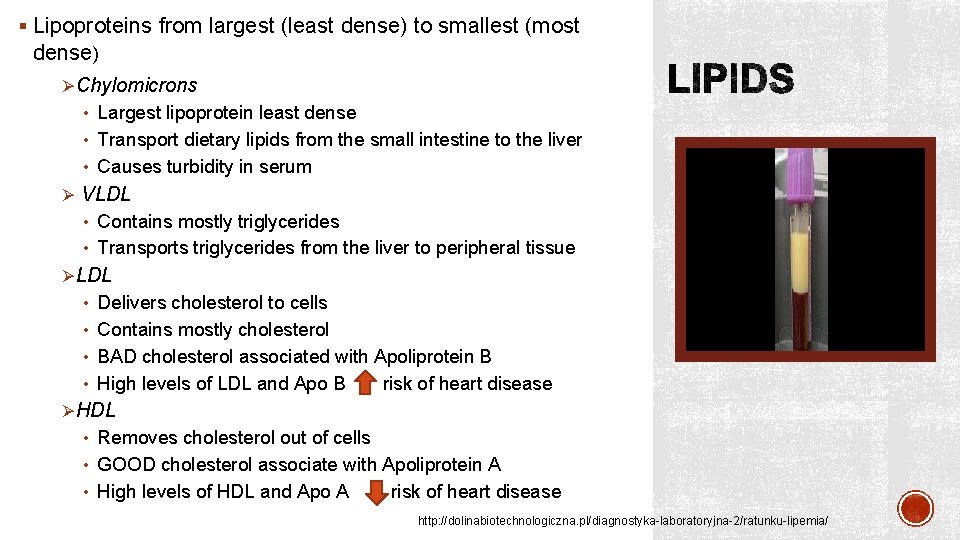 § Lipoproteins from largest (least dense) to smallest (most dense) ØChylomicrons • Largest lipoprotein