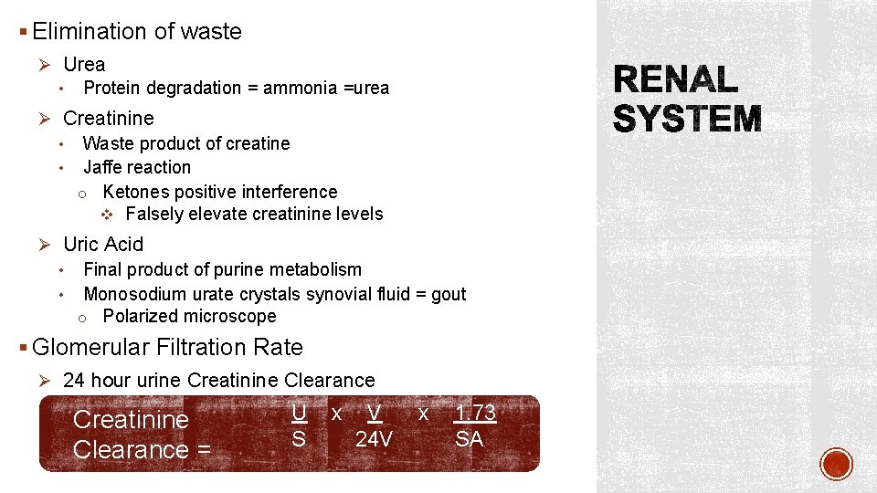 § Elimination of waste Ø Urea • Protein degradation = ammonia =urea Ø Creatinine